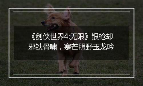 《剑侠世界4:无限》银枪却邪铁骨啸，寒芒照野玉龙吟