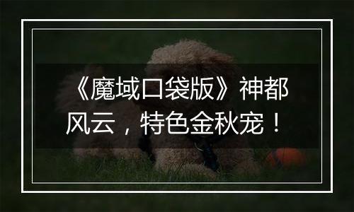 《魔域口袋版》神都风云，特色金秋宠！