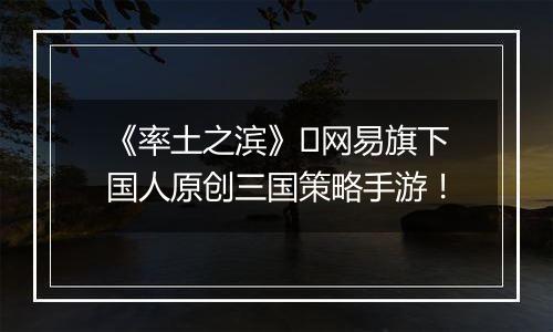 《率土之滨》​网易旗下国人原创三国策略手游！