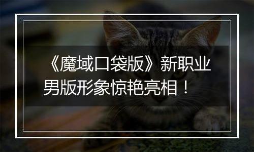 《魔域口袋版》新职业男版形象惊艳亮相！