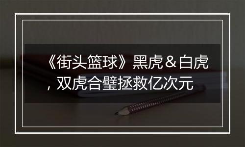 《街头篮球》黑虎＆白虎，双虎合璧拯救亿次元
