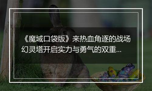 《魔域口袋版》来热血角逐的战场幻灵塔开启实力与勇气的双重比拼！