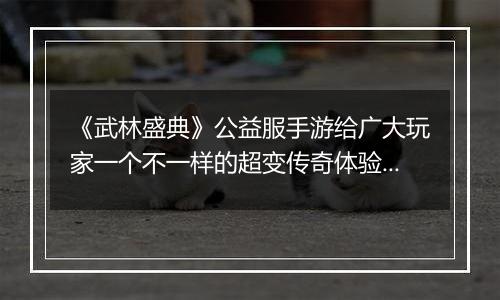 《武林盛典》公益服手游给广大玩家一个不一样的超变传奇体验!