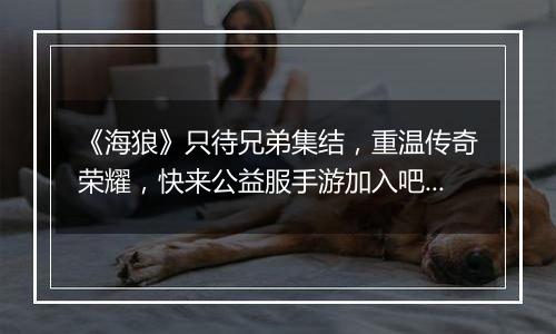 《海狼》只待兄弟集结，重温传奇荣耀，快来公益服手游加入吧！