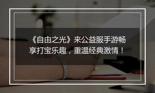 《自由之光》来公益服手游畅享打宝乐趣，重温经典激情！