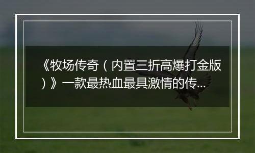 《牧场传奇（内置三折高爆打金版）》一款最热血最具激情的传奇公益服手游！