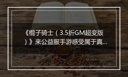 《棍子骑士（3.5折GM超变版）》来公益服手游感受属于真男人的热血战斗!