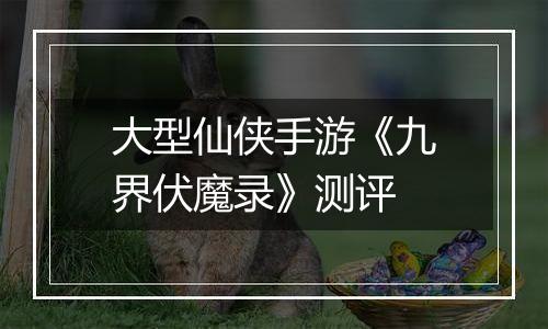 大型仙侠手游《九界伏魔录》测评
