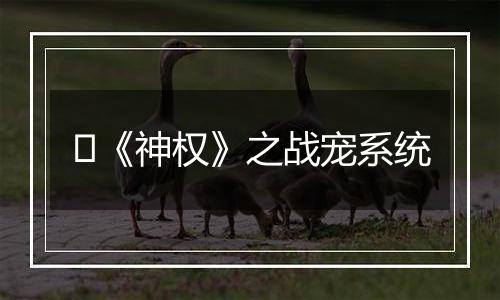 ​《神权》之战宠系统