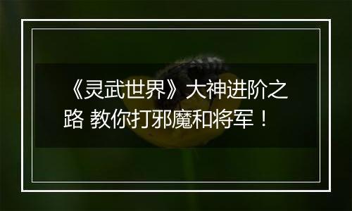 《灵武世界》大神进阶之路 教你打邪魔和将军！