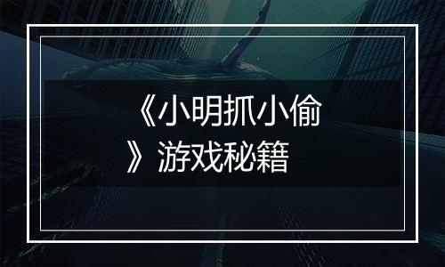 《小明抓小偷》游戏秘籍