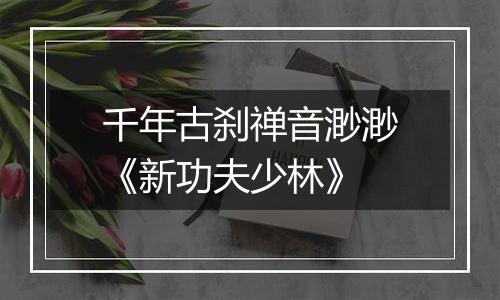 千年古刹禅音渺渺《新功夫少林》