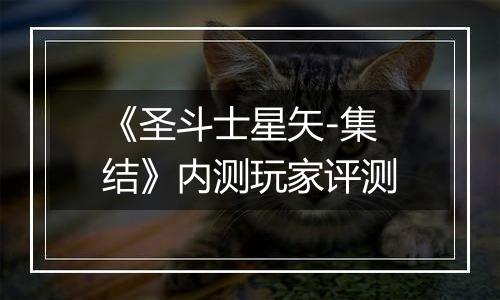 《圣斗士星矢-集结》内测玩家评测