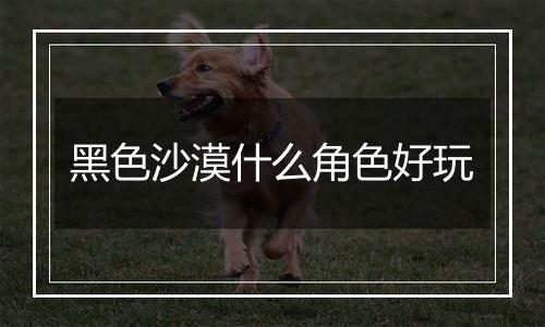 黑色沙漠什么角色好玩