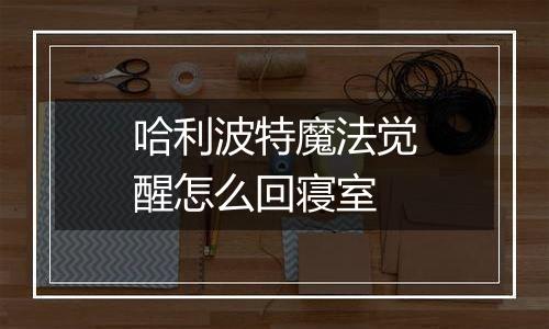 哈利波特魔法觉醒怎么回寝室