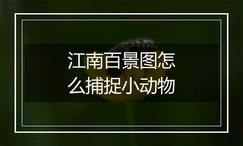 江南百景图怎么捕捉小动物
