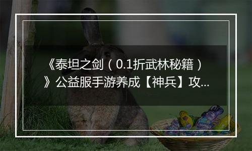 《泰坦之剑（0.1折武林秘籍）》公益服手游养成【神兵】攻略