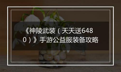 《神陵武装（天天送6480）》手游公益服装备攻略