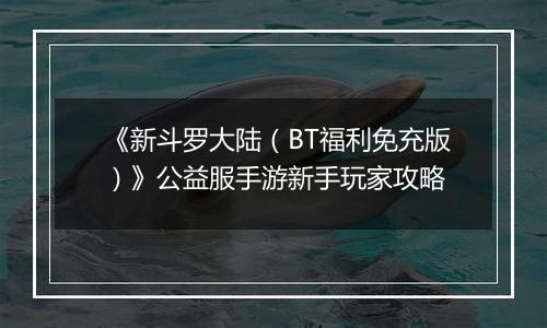 《新斗罗大陆（BT福利免充版）》公益服手游新手玩家攻略