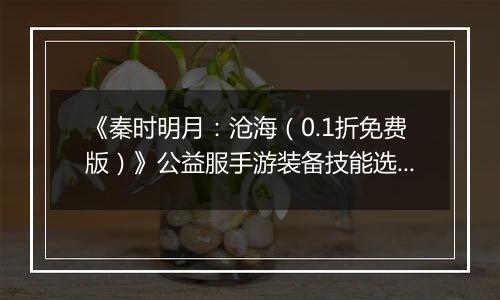 《秦时明月：沧海（0.1折免费版）》公益服手游装备技能选择