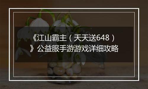 《江山霸主（天天送648）》公益服手游游戏详细攻略