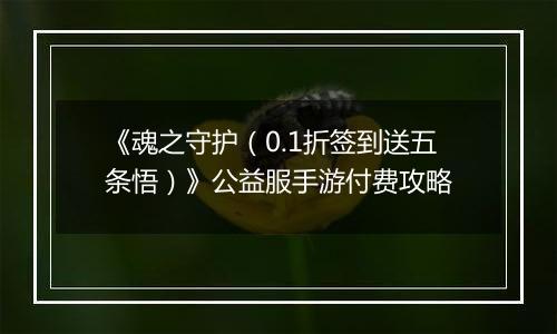 《魂之守护（0.1折签到送五条悟）》公益服手游付费攻略