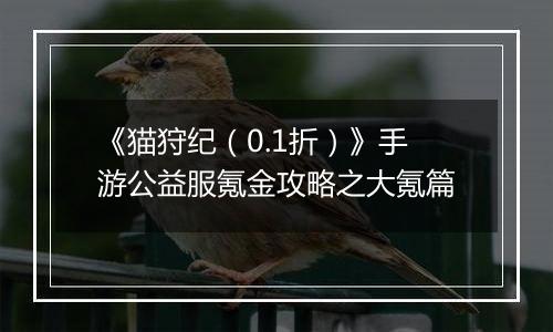 《猫狩纪（0.1折）》手游公益服氪金攻略之大氪篇