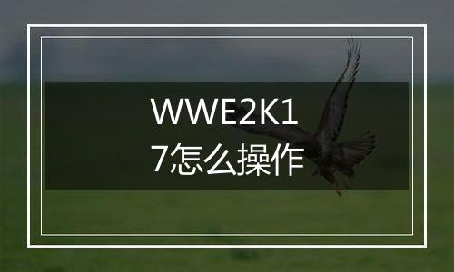 WWE2K17怎么操作