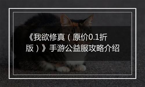 《我欲修真（原价0.1折版）》手游公益服攻略介绍