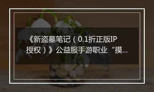 《新盗墓笔记（0.1折正版IP授权）》公益服手游职业“摸金”技能定位解析