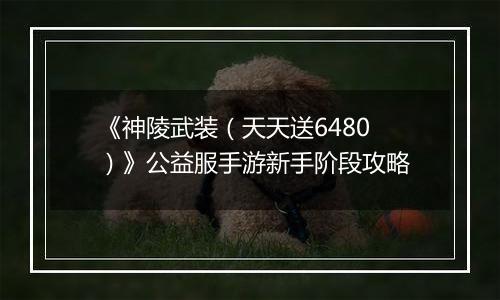 《神陵武装（天天送6480）》公益服手游新手阶段攻略