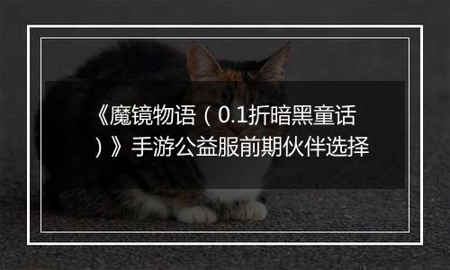 《魔镜物语（0.1折暗黑童话）》手游公益服前期伙伴选择