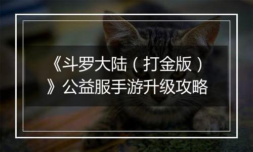 《斗罗大陆（打金版）》公益服手游升级攻略