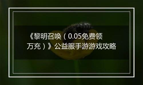 《黎明召唤（0.05免费领万充）》公益服手游游戏攻略