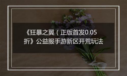 《狂暴之翼（正版首发0.05折》公益服手游新区开荒玩法