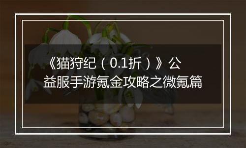 《猫狩纪（0.1折）》公益服手游氪金攻略之微氪篇