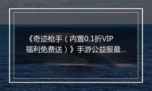 《奇迹枪手（内置0.1折VIP福利免费送）》手游公益服最强职业推荐