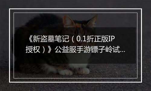 《新盗墓笔记（0.1折正版IP授权）》公益服手游镖子岭试炼开启！