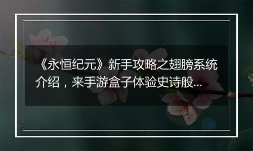 《永恒纪元》新手攻略之翅膀系统介绍，来手游盒子体验史诗般西方魔幻世界！