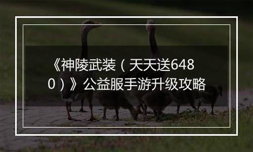 《神陵武装（天天送6480）》公益服手游升级攻略