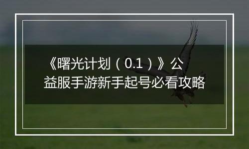 《曙光计划（0.1）》公益服手游新手起号必看攻略