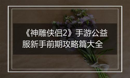 《神雕侠侣2》手游公益服新手前期攻略篇大全