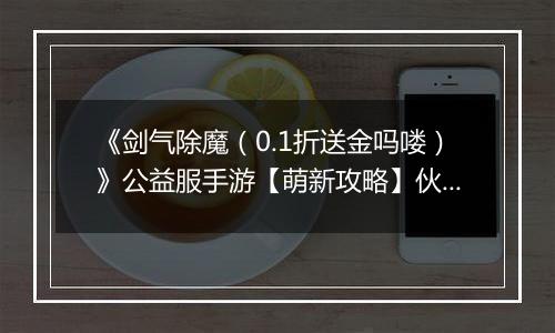 《剑气除魔（0.1折送金吗喽）》公益服手游【萌新攻略】伙伴的选择