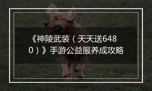 《神陵武装（天天送6480）》手游公益服养成攻略