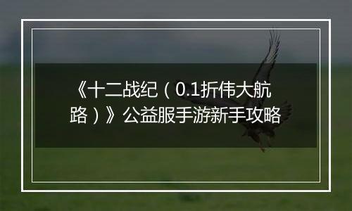 《十二战纪（0.1折伟大航路）》公益服手游新手攻略