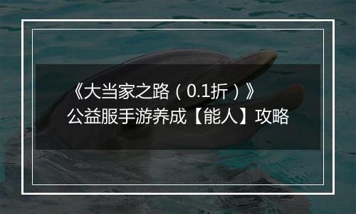 《大当家之路（0.1折）》公益服手游养成【能人】攻略