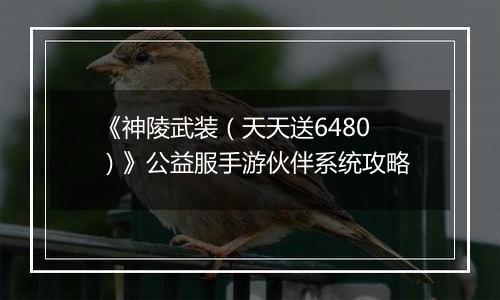 《神陵武装（天天送6480）》公益服手游伙伴系统攻略