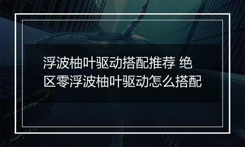 浮波柚叶驱动搭配推荐 绝区零浮波柚叶驱动怎么搭配