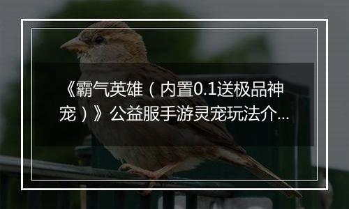 《霸气英雄（内置0.1送极品神宠）》公益服手游灵宠玩法介绍