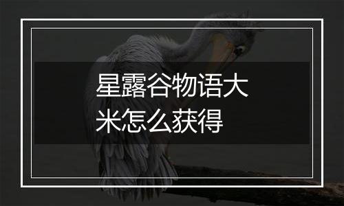 星露谷物语大米怎么获得
